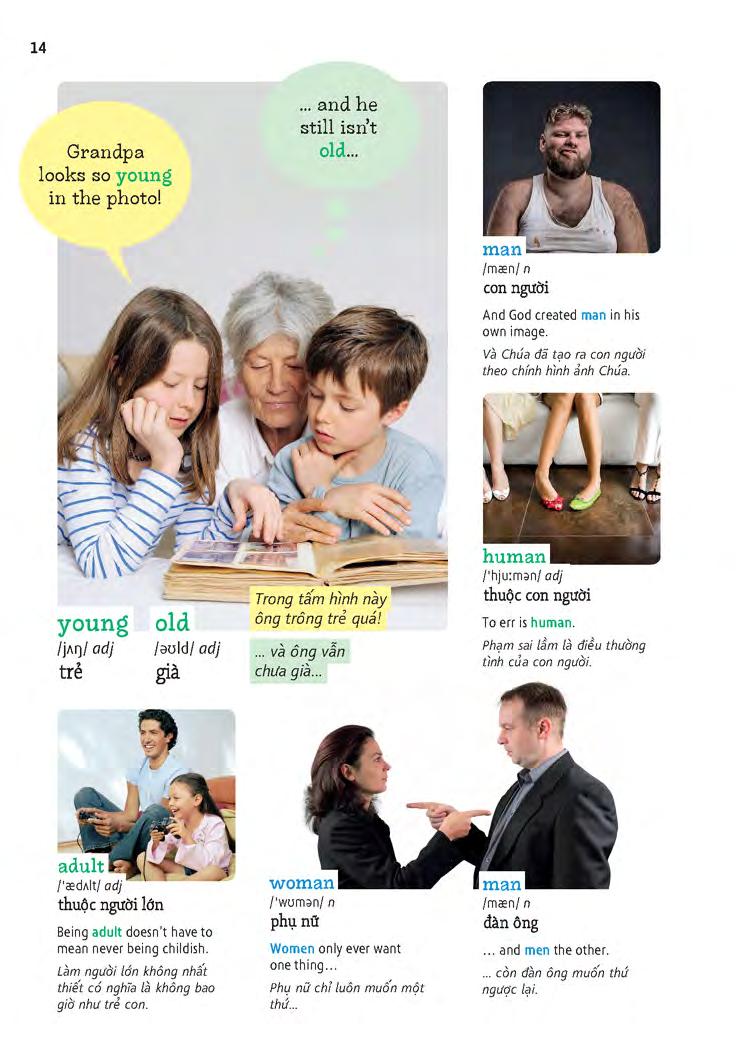 học tự vựng tiếng anh qua hình và ví dụ minh họa - Ảnh 14