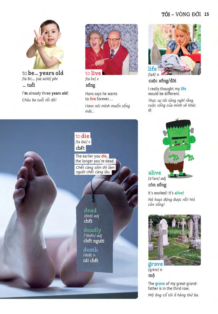 học tự vựng tiếng anh qua hình và ví dụ minh họa - Ảnh 15