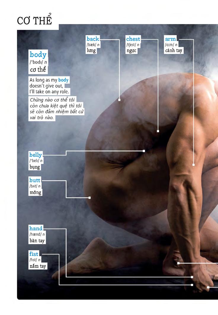 học tự vựng tiếng anh qua hình và ví dụ minh họa - Ảnh 16