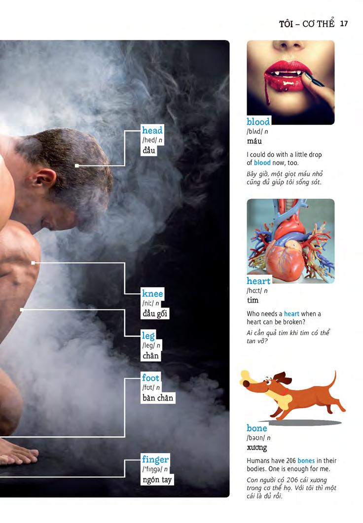 học tự vựng tiếng anh qua hình và ví dụ minh họa - Ảnh 17