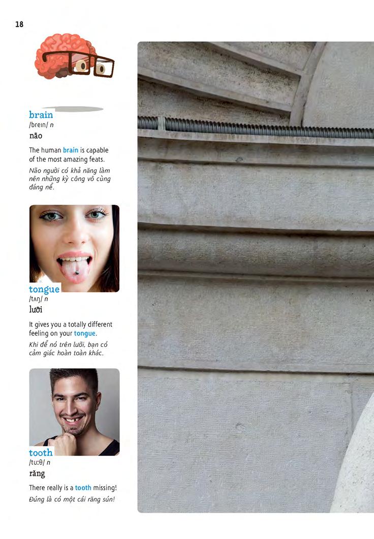 học tự vựng tiếng anh qua hình và ví dụ minh họa - Ảnh 18