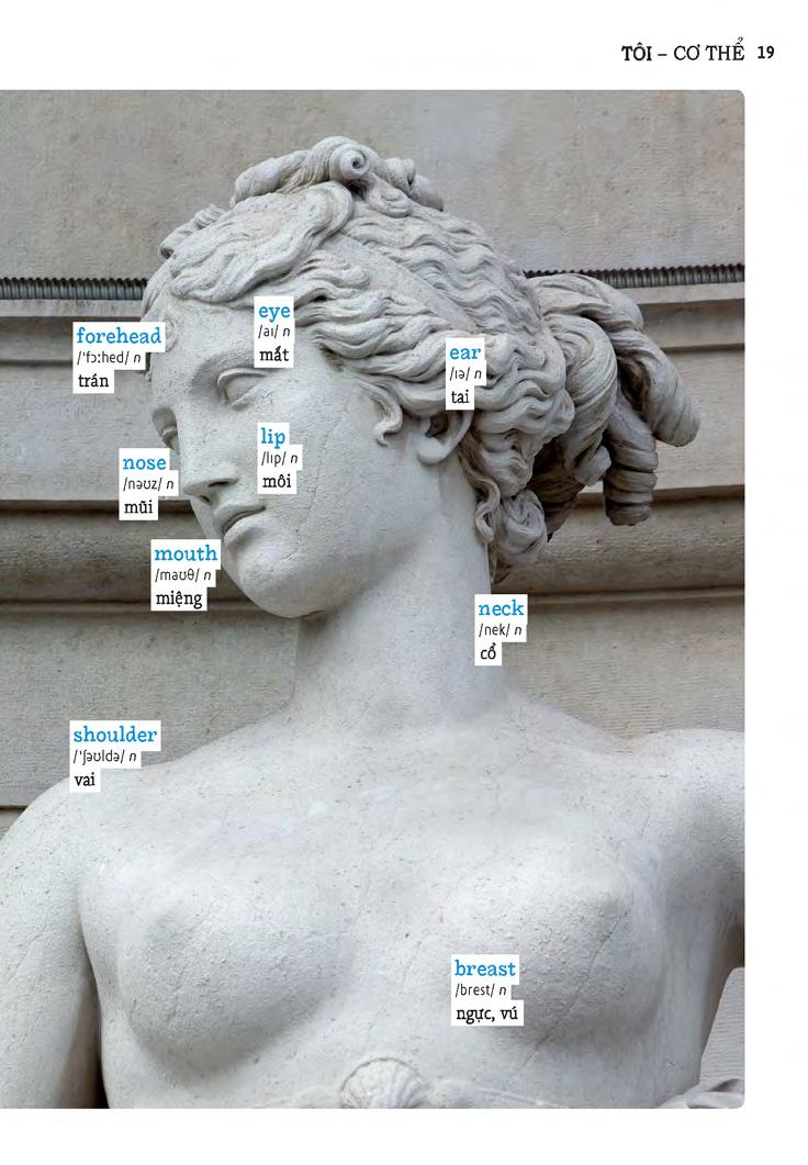 học tự vựng tiếng anh qua hình và ví dụ minh họa - Ảnh 19