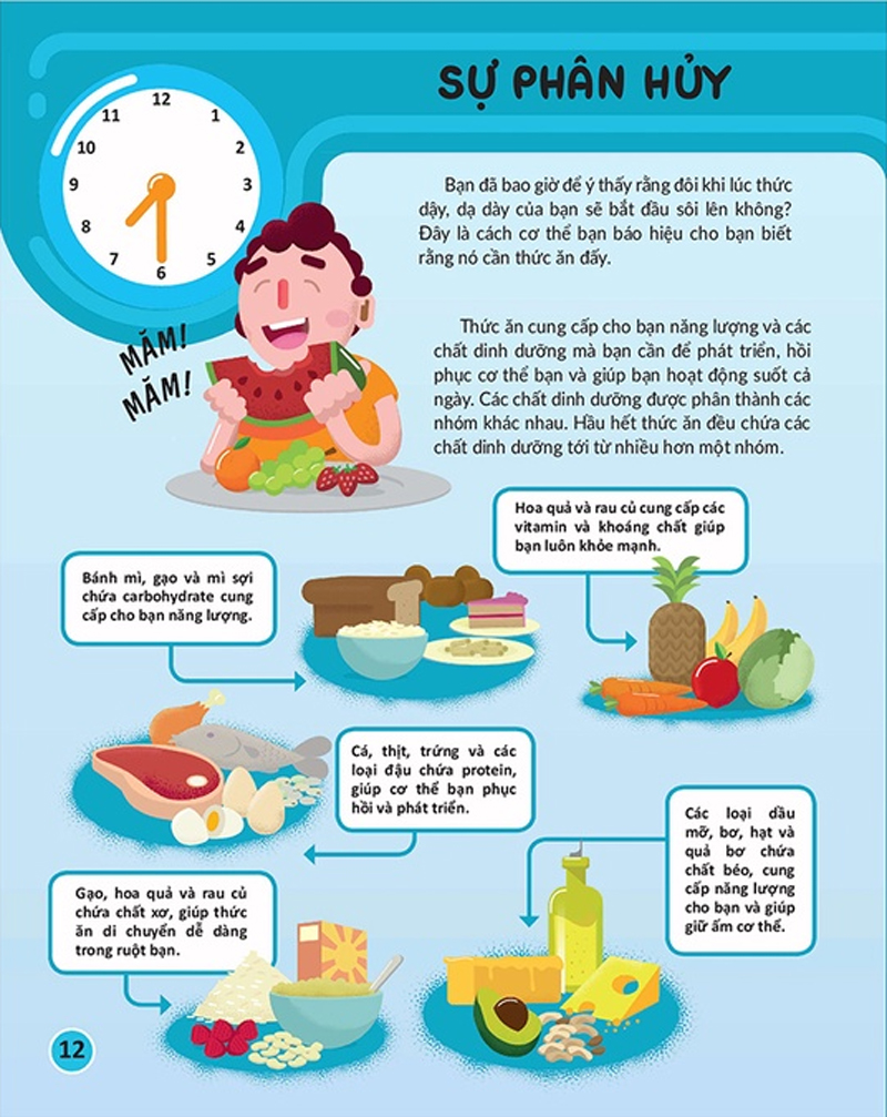 học và thực hành stem đơn giản - khoa học - 60 bài thực hành bổ ích - Ảnh 10