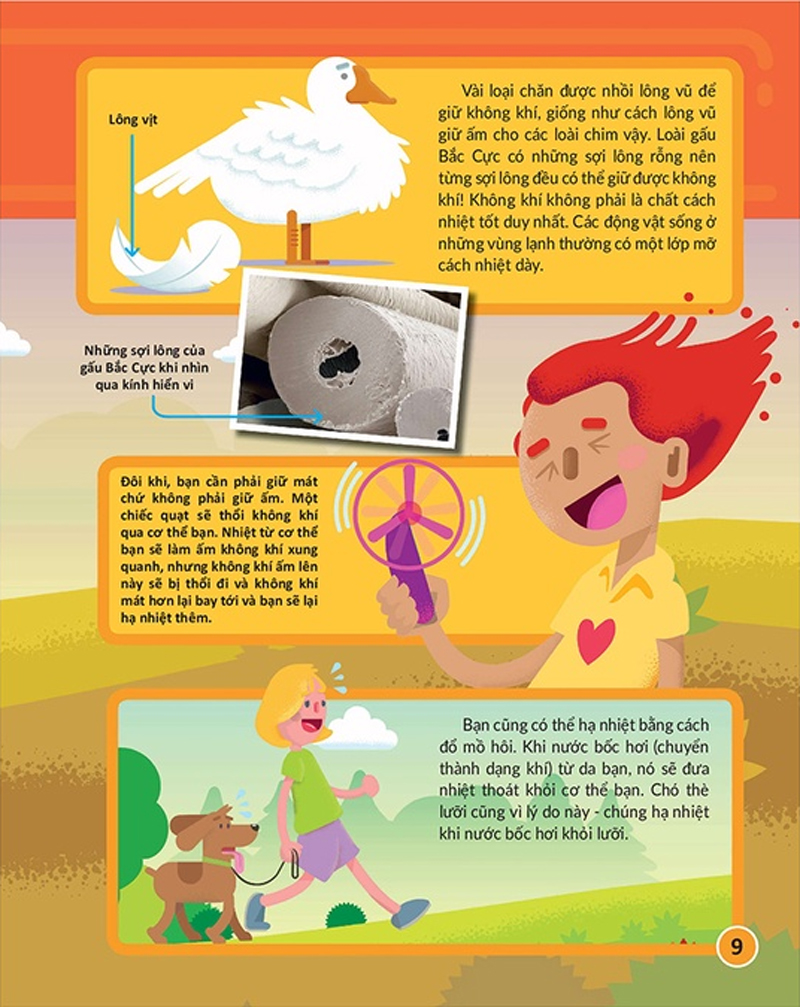 học và thực hành stem đơn giản - khoa học - 60 bài thực hành bổ ích - Ảnh 7