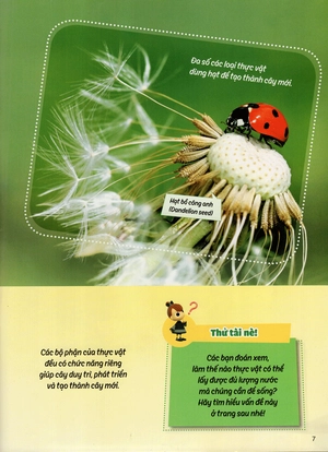 học vui hiểu rộng biết nhiều - cây cối diệu kì - Ảnh 13