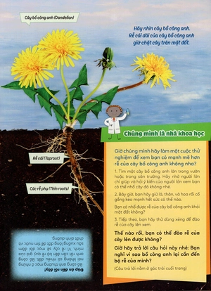 học vui hiểu rộng biết nhiều - cây cối diệu kì - Ảnh 21