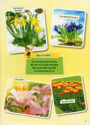 học vui hiểu rộng biết nhiều - cây cối diệu kì - Ảnh 24