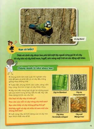học vui hiểu rộng biết nhiều - cây cối diệu kì - Ảnh 28