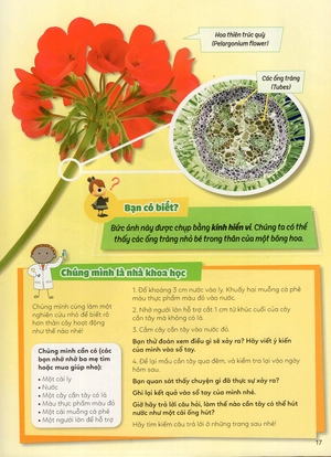 học vui hiểu rộng biết nhiều - cây cối diệu kì - Ảnh 32