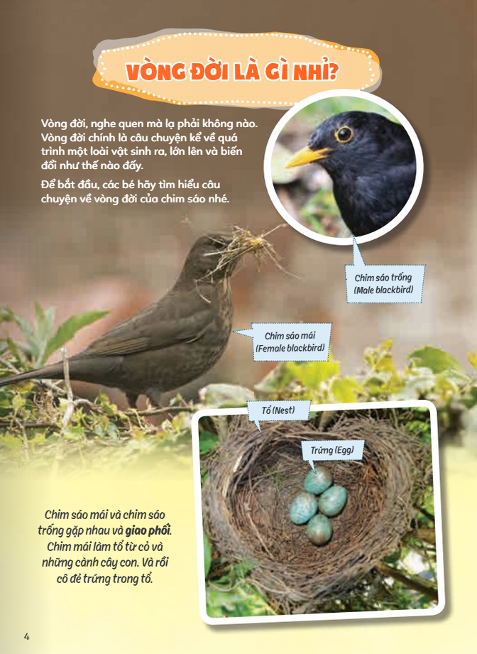 Học Vui Hiểu Rộng Biết Nhiều - Chuyện Kì Thú Về Vòng Đời Động Vật - Ảnh 4