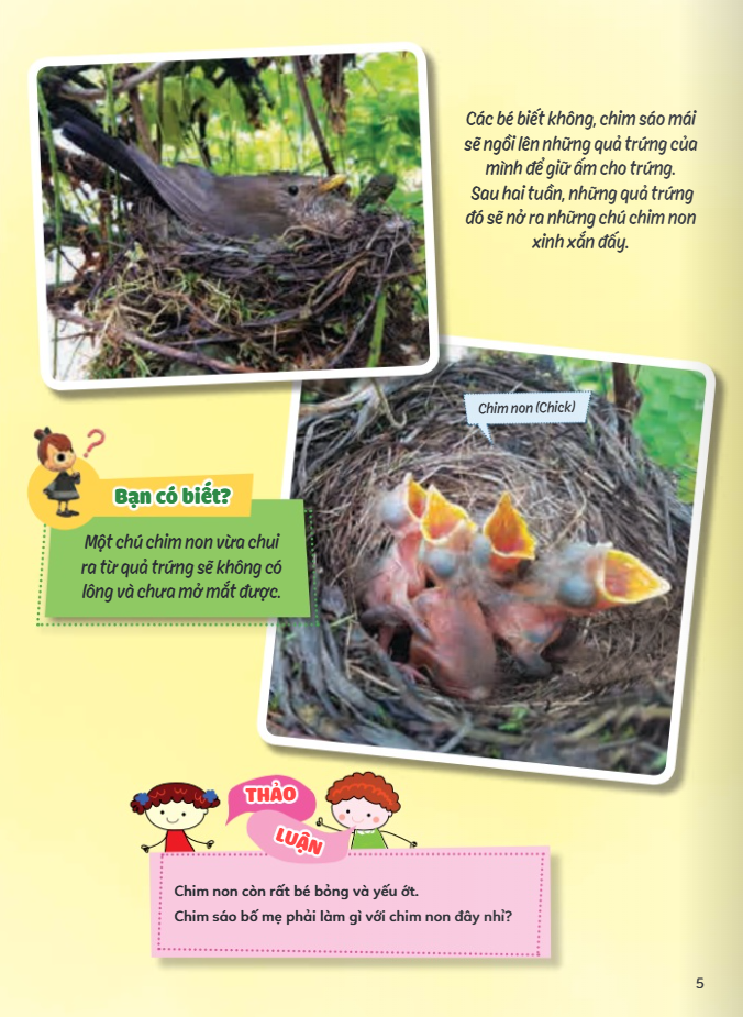 Học Vui Hiểu Rộng Biết Nhiều - Chuyện Kì Thú Về Vòng Đời Động Vật - Ảnh 5