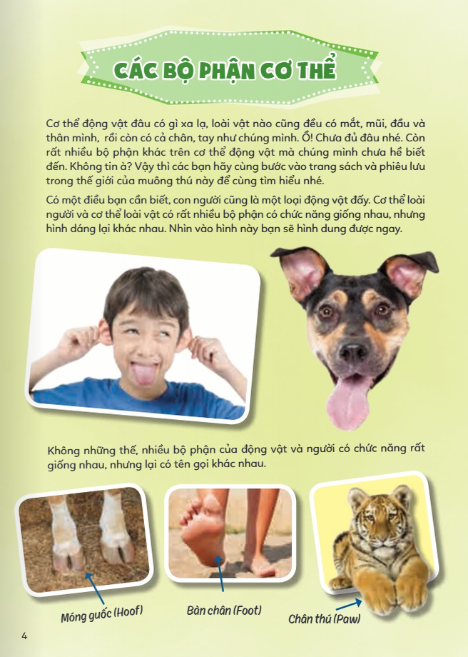 học vui hiểu rộng biết nhiều - cơ thể động vật - Ảnh 4