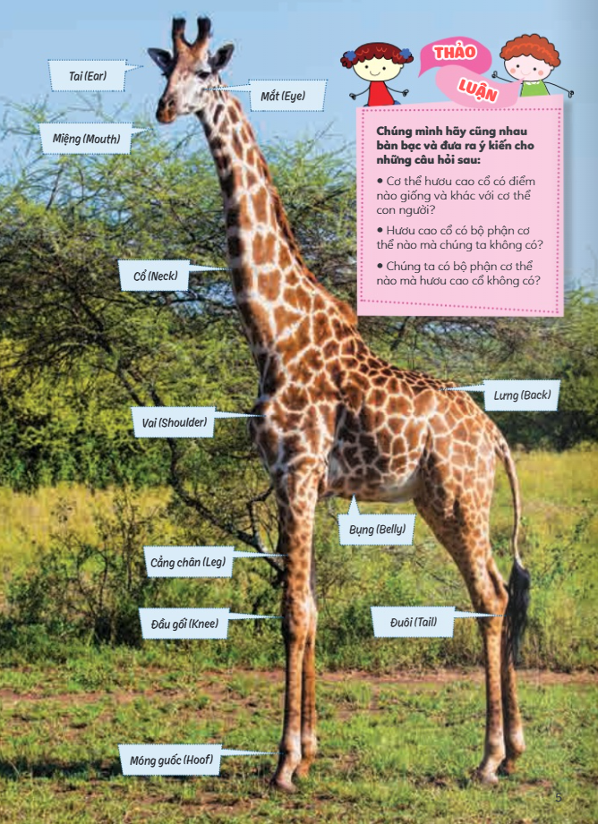 học vui hiểu rộng biết nhiều - cơ thể động vật - Ảnh 5