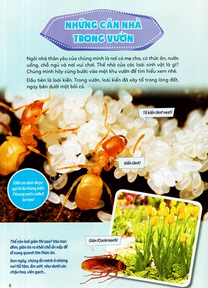 học vui hiểu rộng biết nhiều - sinh vật trú ẩn & săn mồi - Ảnh 15