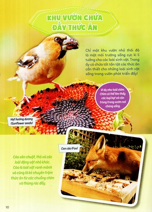 học vui hiểu rộng biết nhiều - sinh vật trú ẩn & săn mồi - Ảnh 19