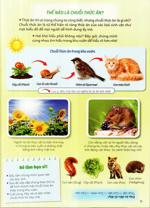 học vui hiểu rộng biết nhiều - sinh vật trú ẩn & săn mồi - Ảnh 21