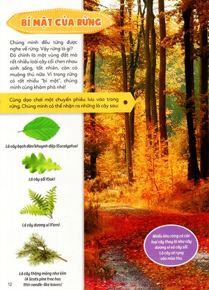 học vui hiểu rộng biết nhiều - sinh vật trú ẩn & săn mồi - Ảnh 23