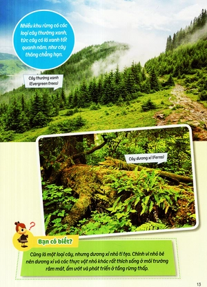 học vui hiểu rộng biết nhiều - sinh vật trú ẩn & săn mồi - Ảnh 24