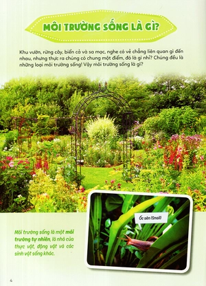 học vui hiểu rộng biết nhiều - sinh vật trú ẩn & săn mồi - Ảnh 6