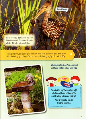 học vui hiểu rộng biết nhiều - sinh vật trú ẩn & săn mồi - Ảnh 9