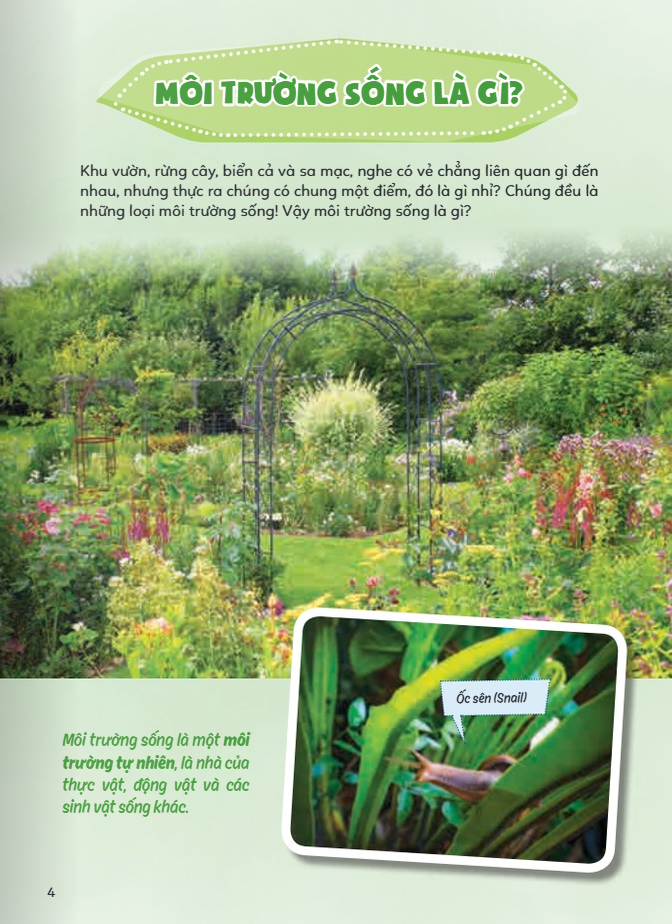 Học Vui Hiểu Rộng Biết Nhiều - Sinh Vật Trú Ẩn Và Săn Mồi - Ảnh 4