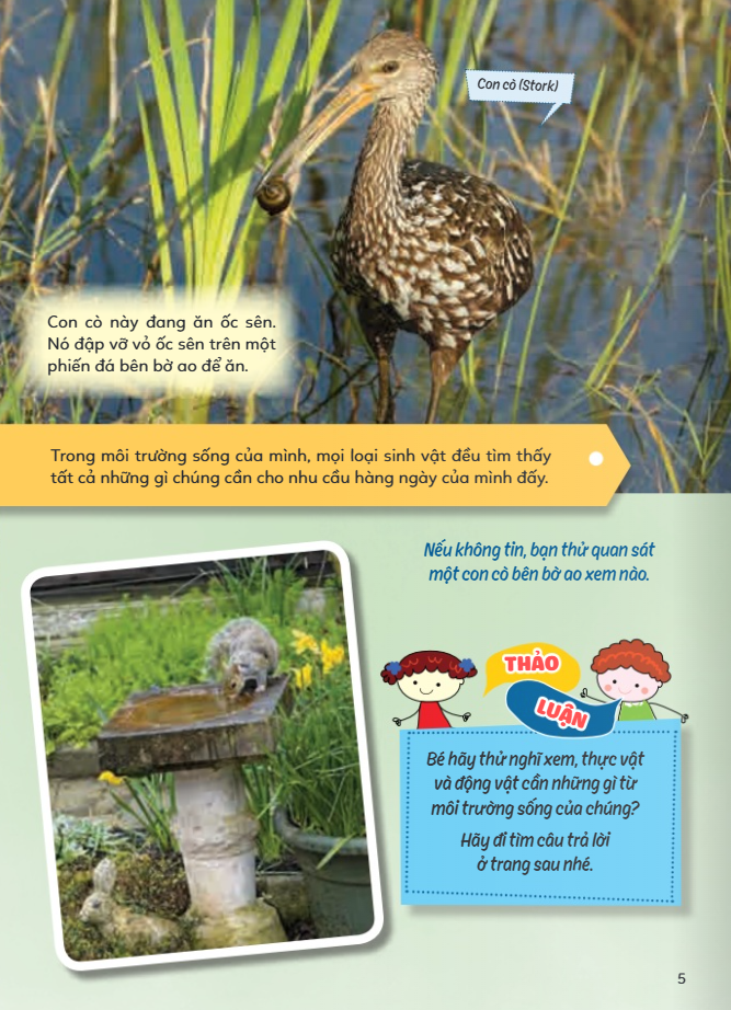 Học Vui Hiểu Rộng Biết Nhiều - Sinh Vật Trú Ẩn Và Săn Mồi - Ảnh 5