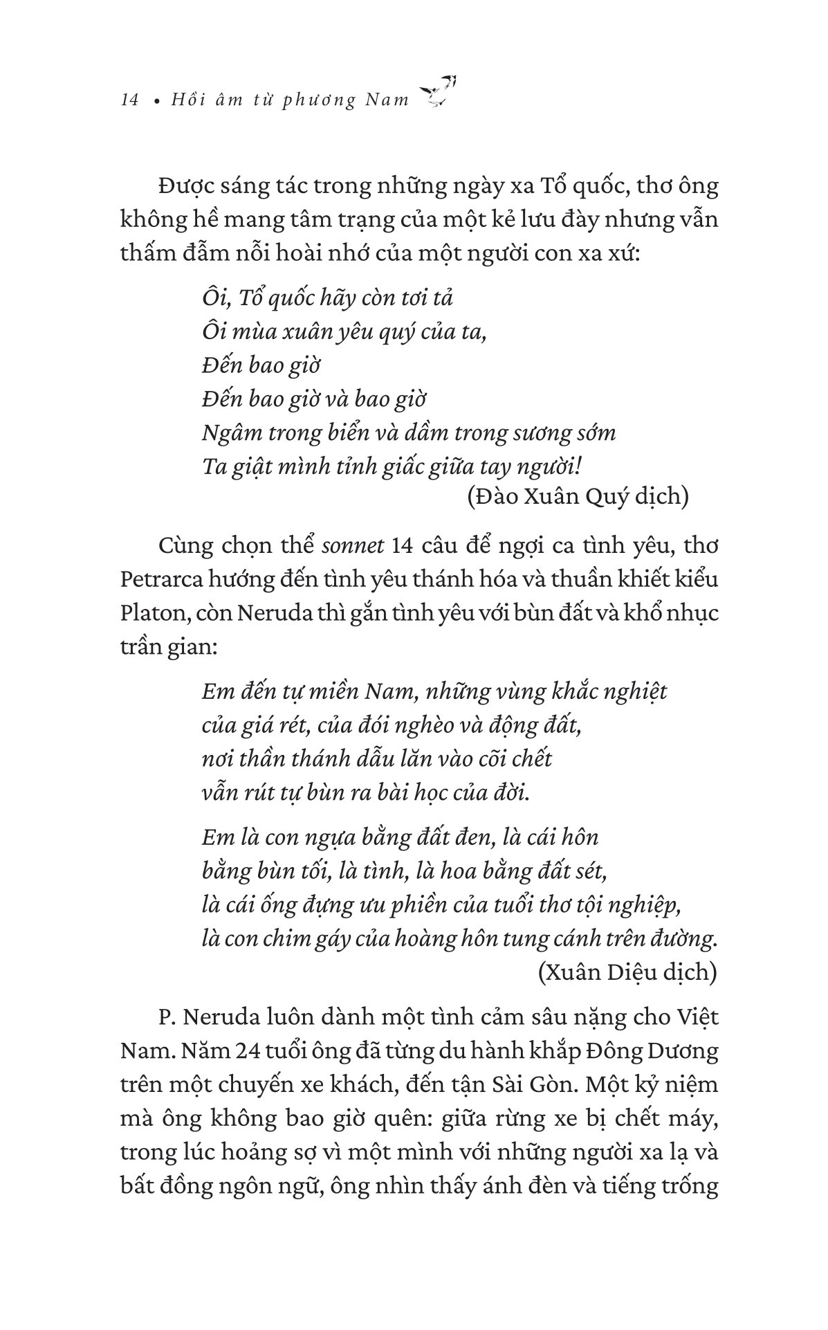 hồi âm từ phương nam - Ảnh 11