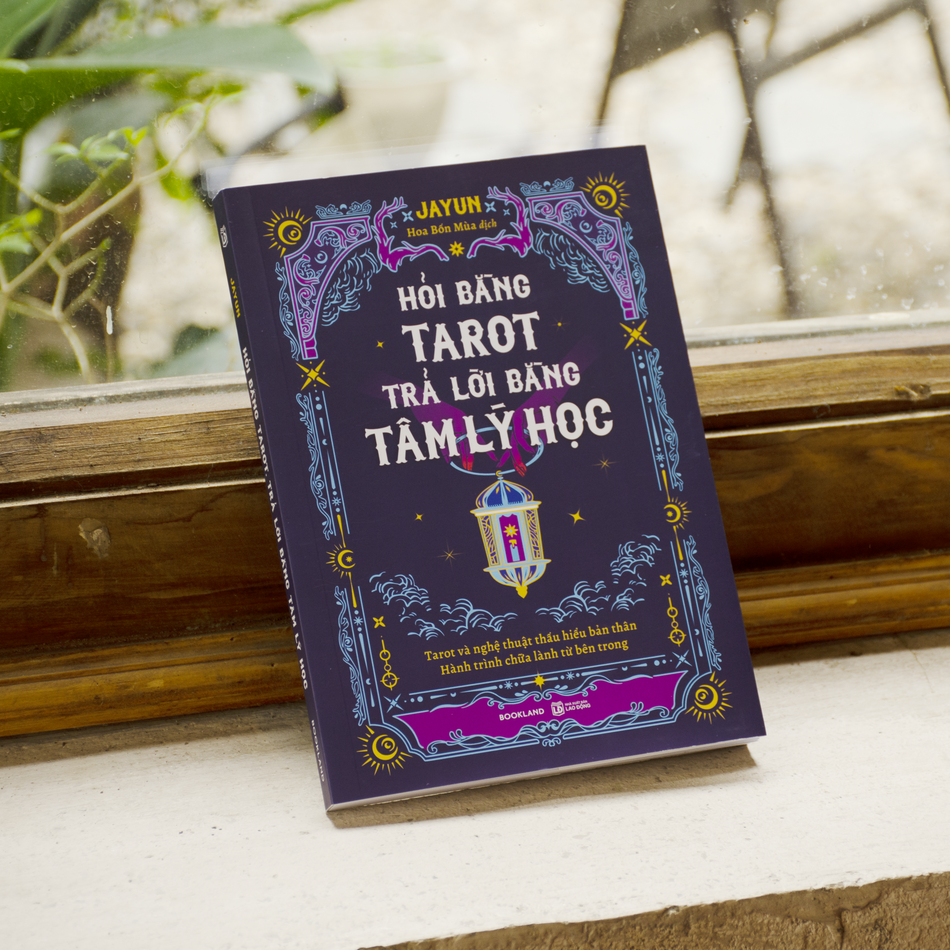 Hỏi Bằng Tarot - Trả Lời Bằng Tâm Lý Học - Ảnh 5