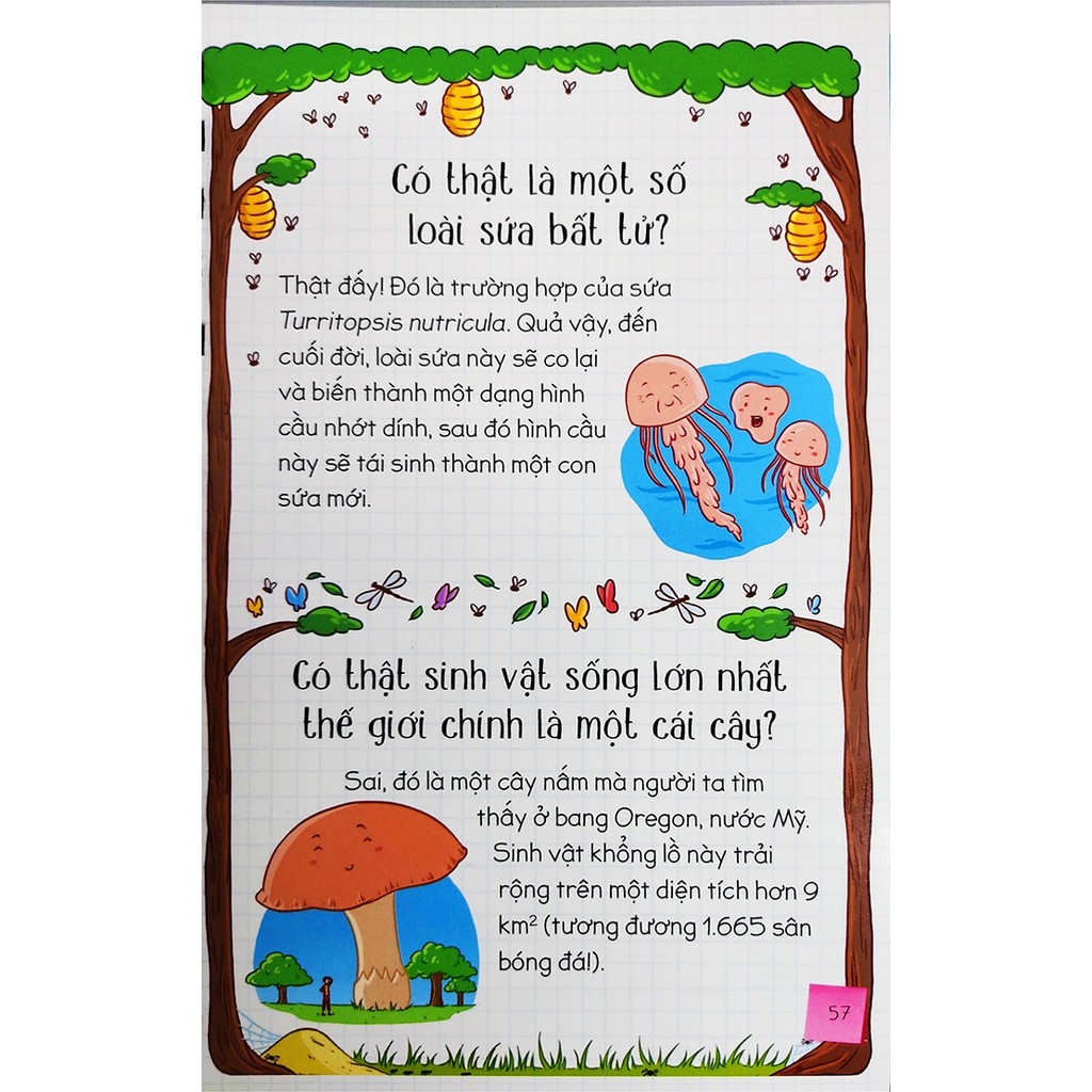 hỏi đáp cùng em - thật vậy sao? - Ảnh 4