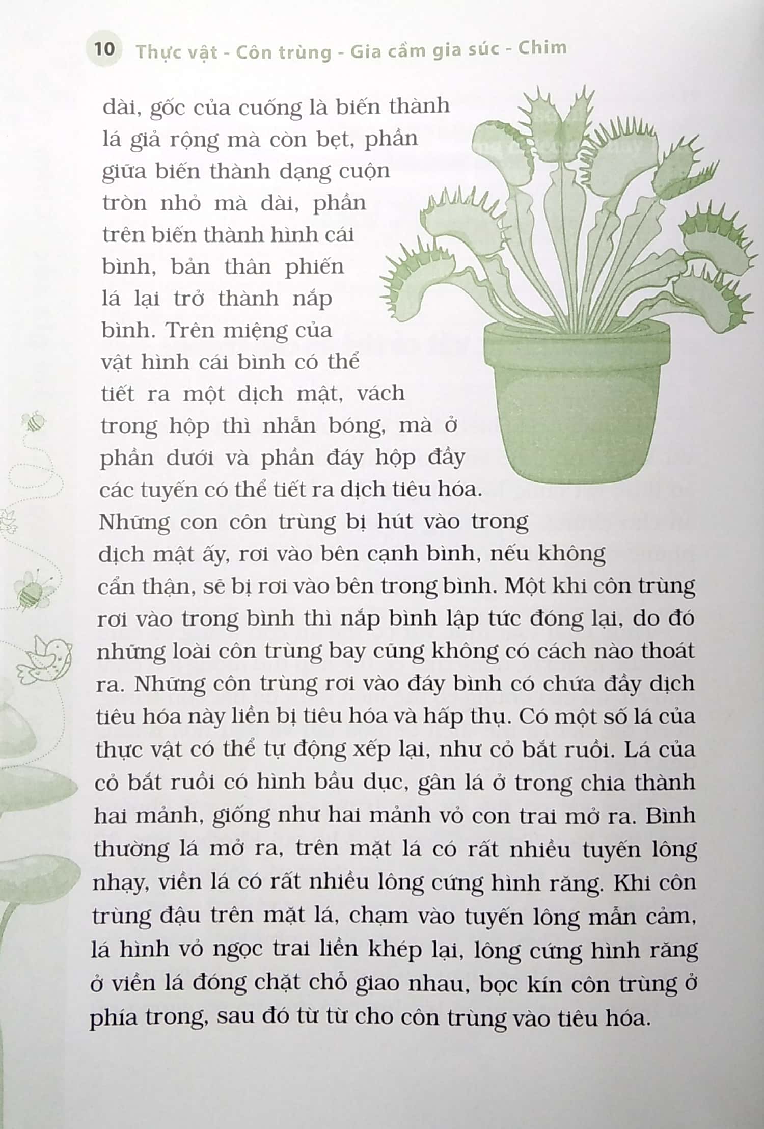 hỏi đáp khoa học - đọc ít nhất - hiểu nhiều nhất - 10 vạn câu hỏi vì sao? thực vật ,côn trùng, gia cầm gia súc, chim (tái bản) - Ảnh 5
