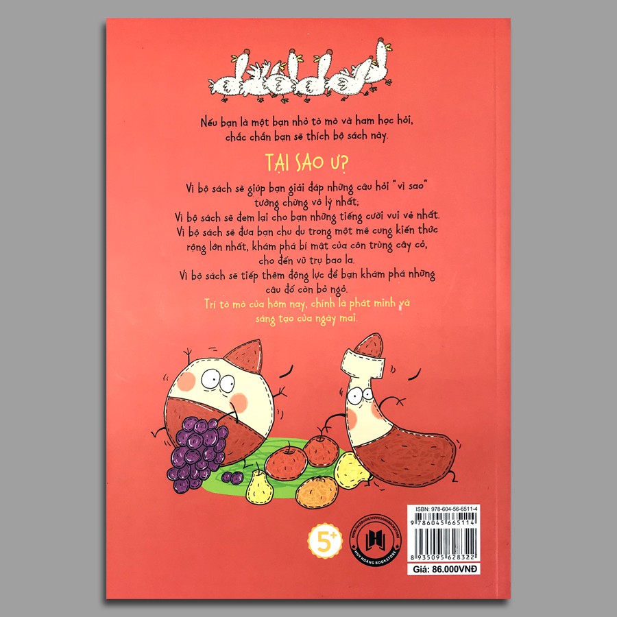 hỏi đáp khoa học vui nhộn - ông gia noel có thật không - Ảnh 3