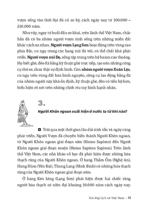 hỏi đáp lịch sử việt nam - tập 1 - từ khởi thủy đến thế kỷ x - Ảnh 10