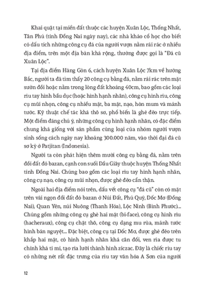 hỏi đáp lịch sử việt nam - tập 1 - từ khởi thủy đến thế kỷ x - Ảnh 9