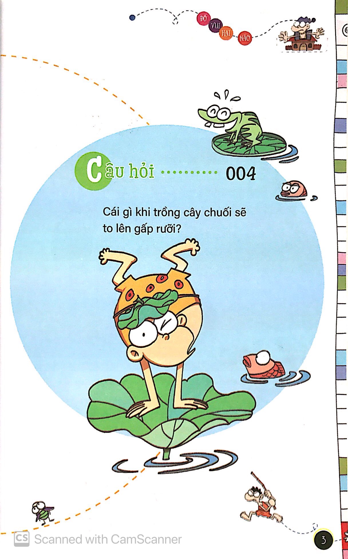 hỏi đáp nhanh trí - đố vui hại não - Ảnh 6