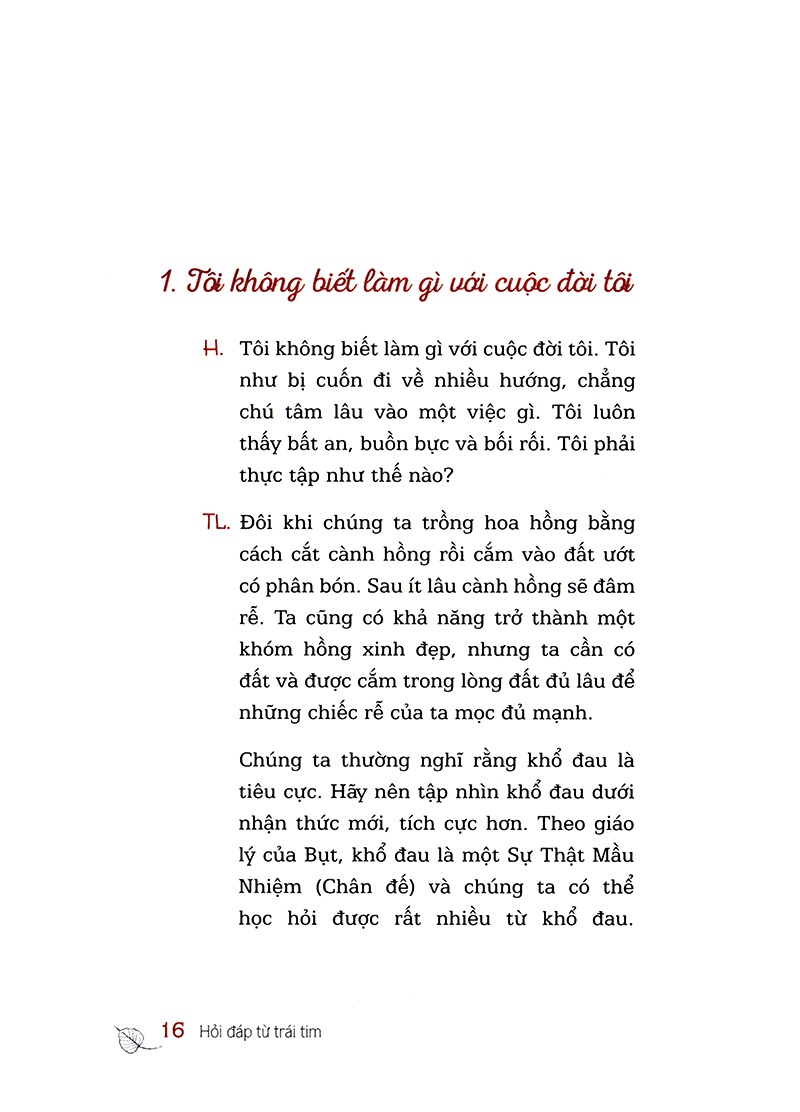 hỏi đáp từ trái tim (tái bản 2024) - Ảnh 13