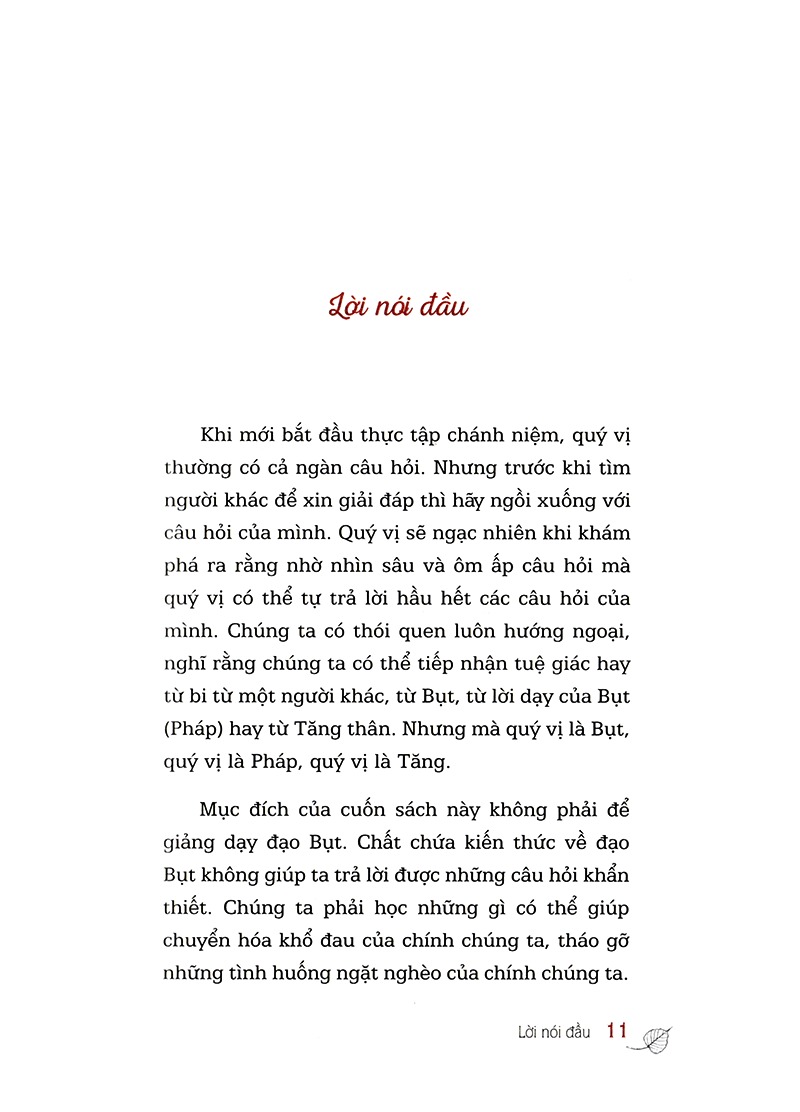 hỏi đáp từ trái tim (tái bản 2024) - Ảnh 8