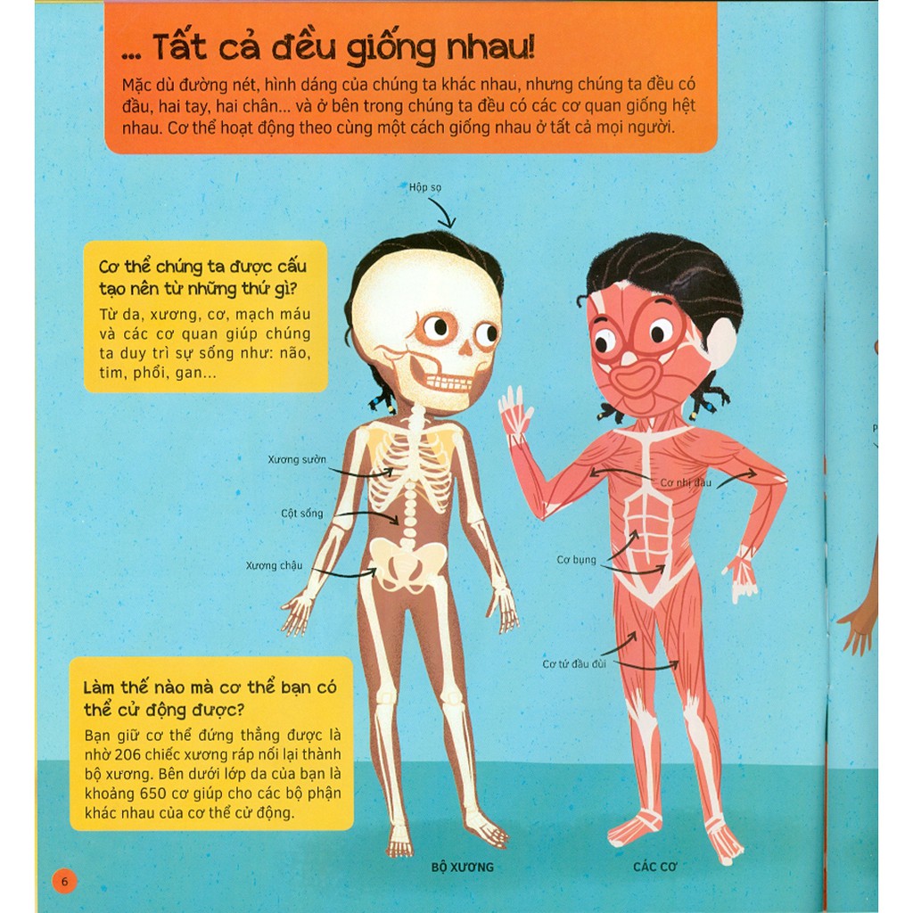 hỏi - đáp về cơ thể người - Ảnh 5