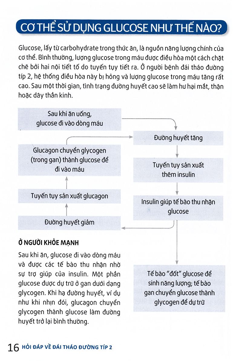 hỏi đáp về đái tháo đường típ 2 - Ảnh 11