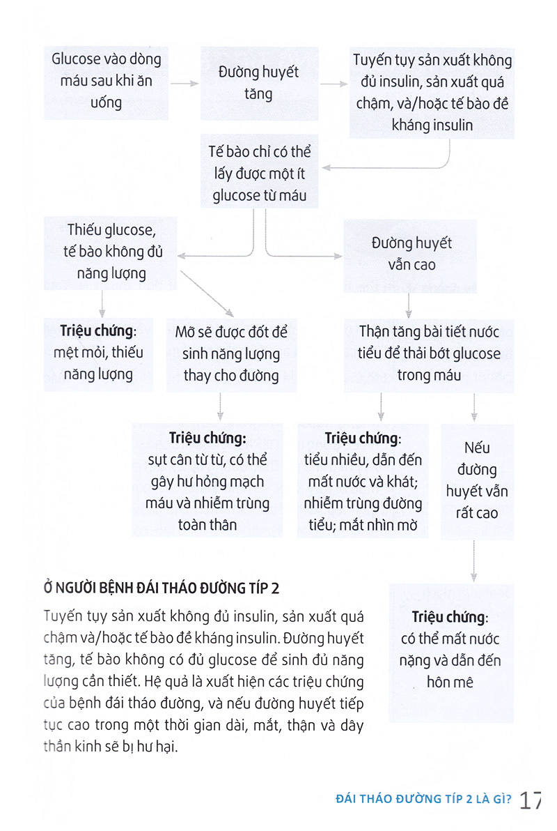 hỏi đáp về đái tháo đường típ 2 - Ảnh 12