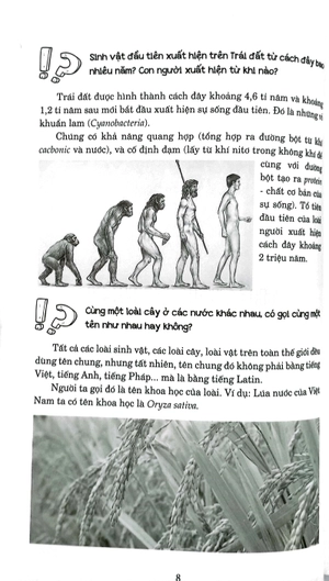 hỏi đáp về mọi chuyện - Ảnh 6