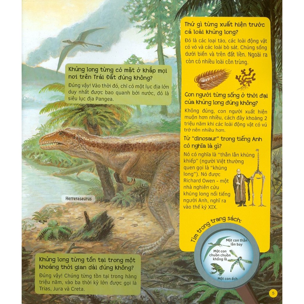 hỏi - đáp về thế giới khủng long - Ảnh 4