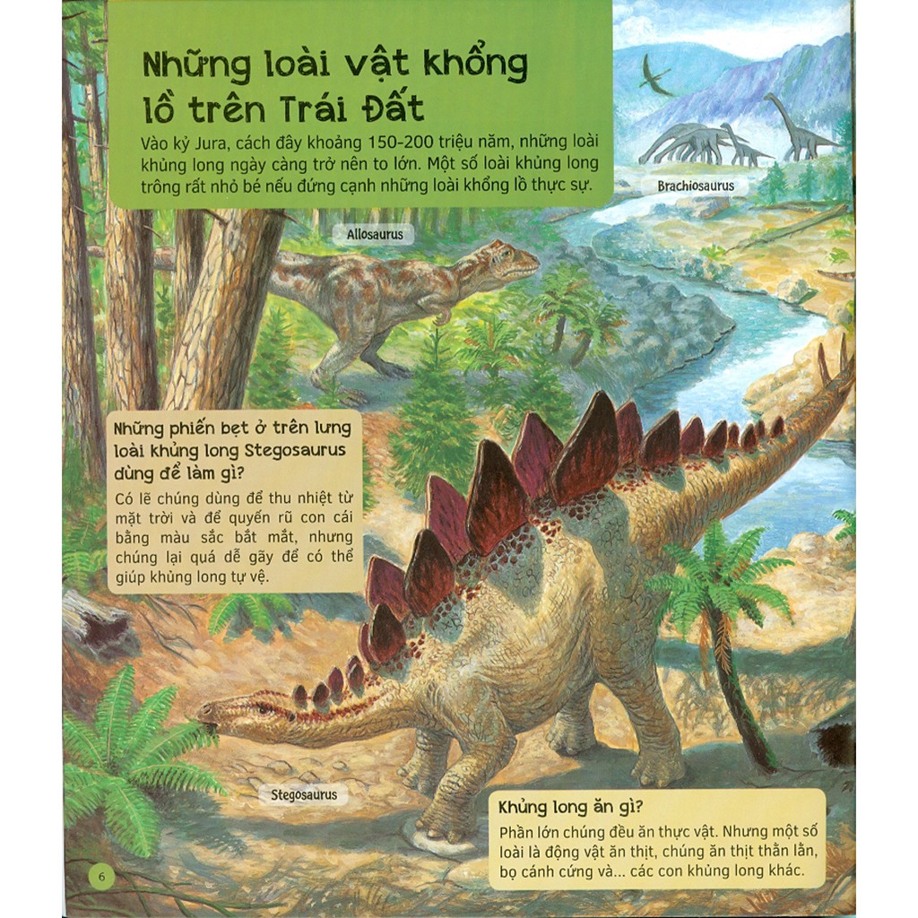 hỏi - đáp về thế giới khủng long - Ảnh 5