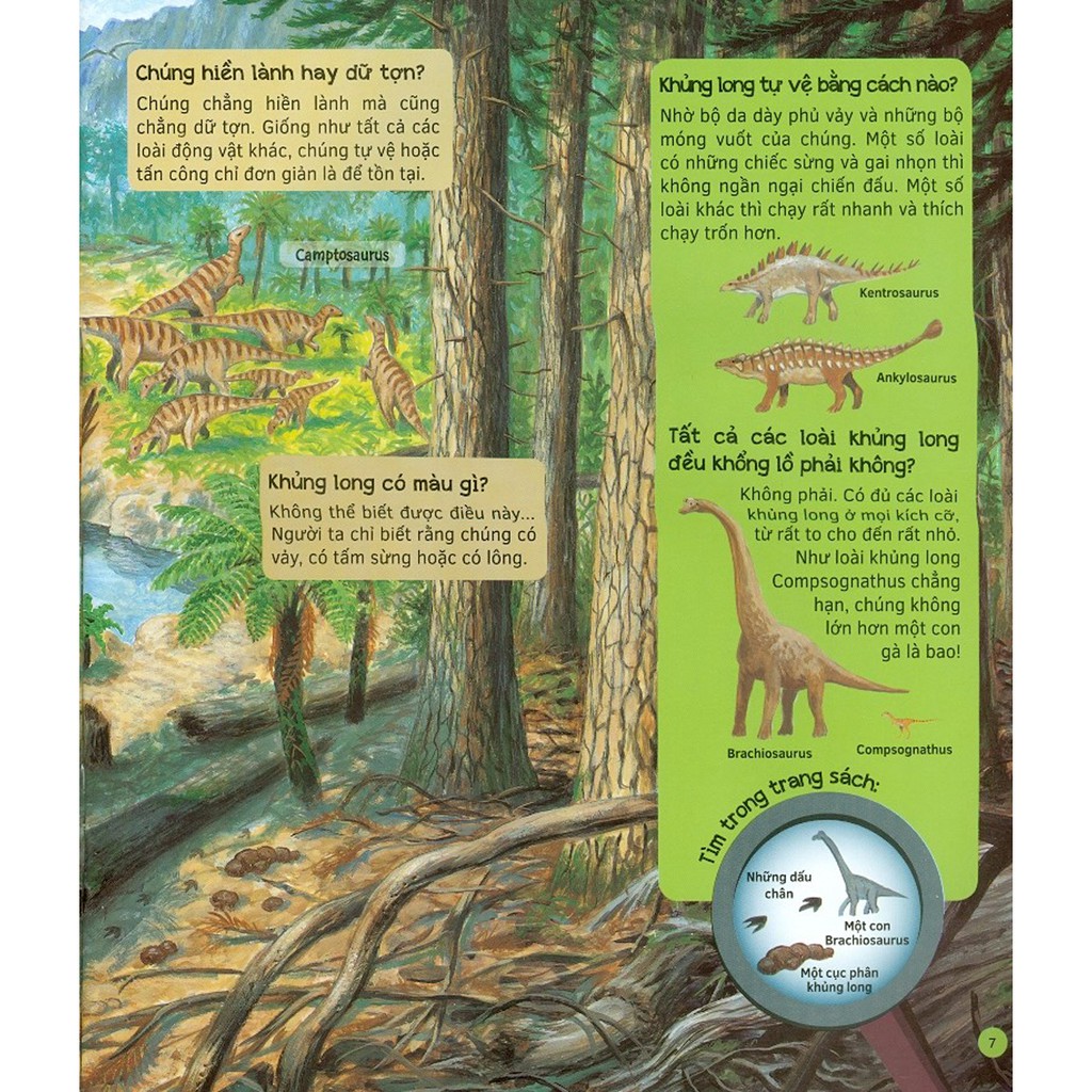 hỏi - đáp về thế giới khủng long - Ảnh 6