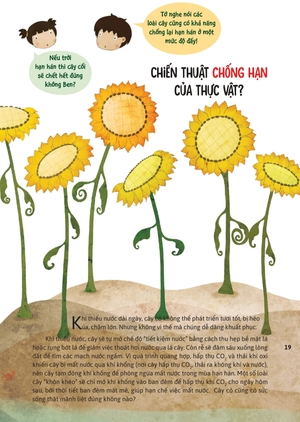 hỏi đáp về thế giới - thực vật muôn màu - Ảnh 5