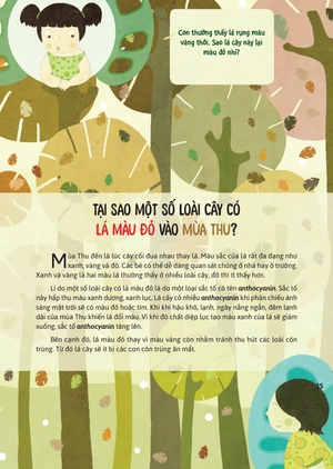 hỏi đáp về thế giới - thực vật muôn màu - Ảnh 6