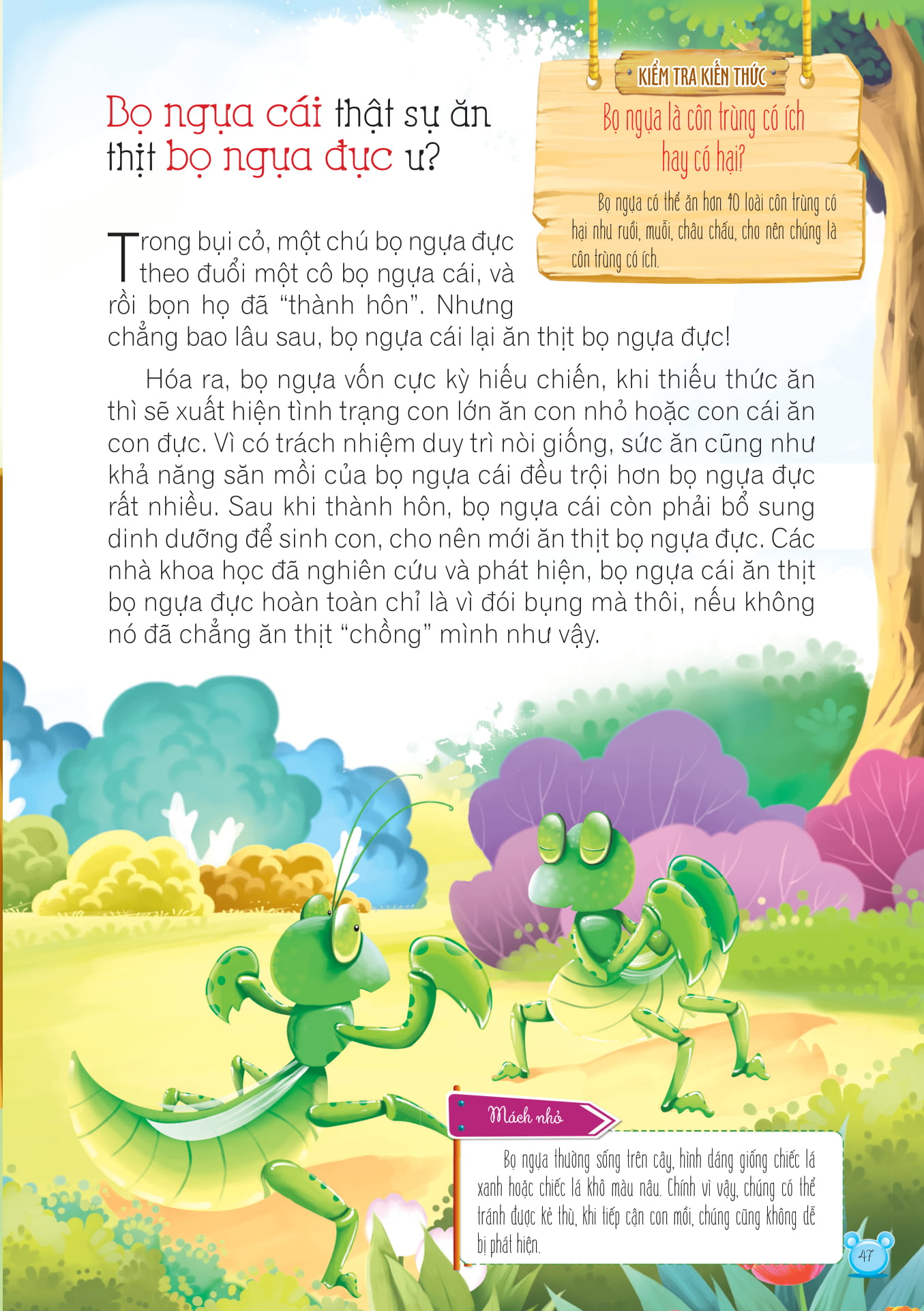 hỏi gì cũng biết - bí mật về động vật - Ảnh 3