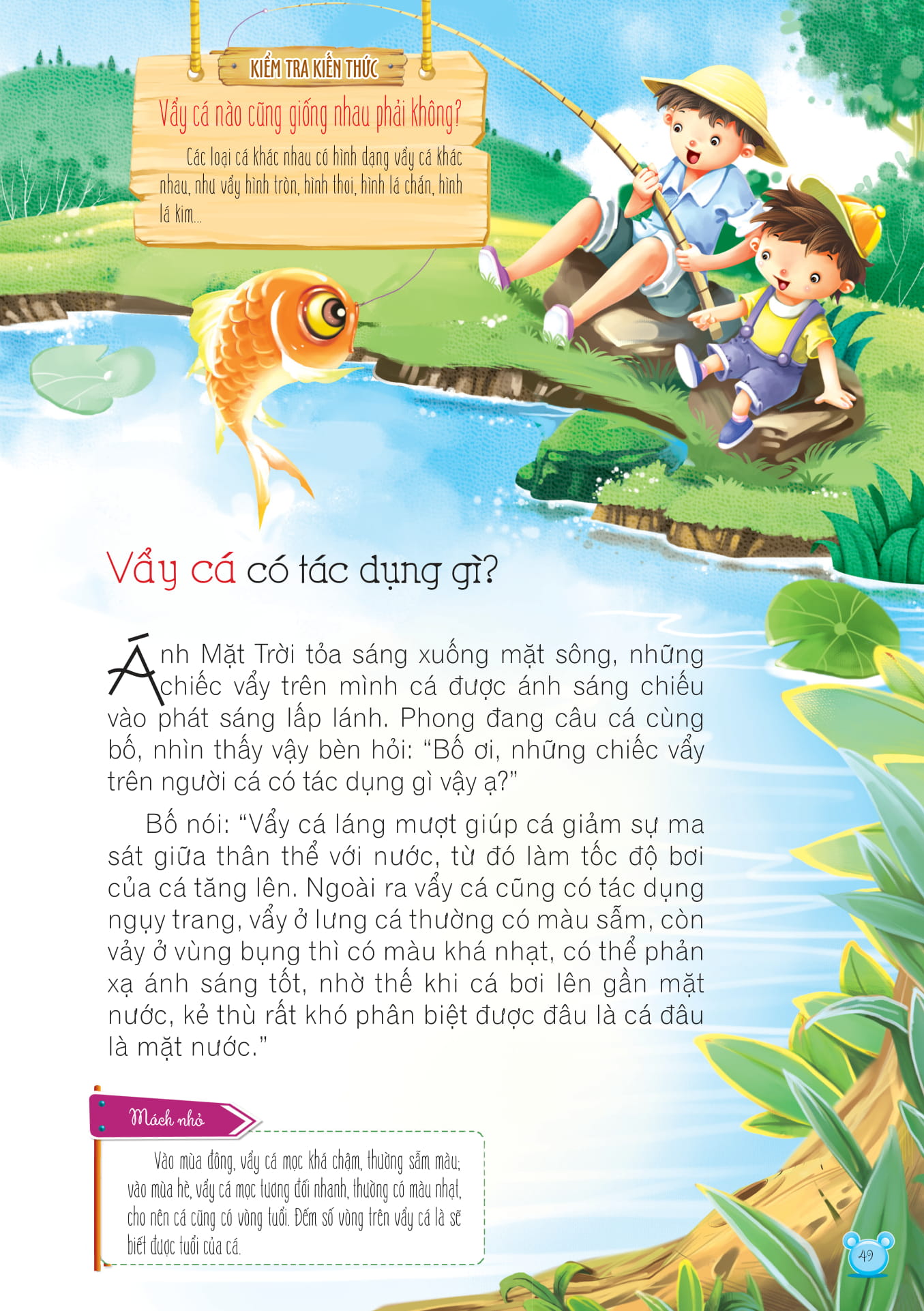 hỏi gì cũng biết - bí mật về động vật - Ảnh 5