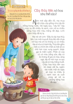 hỏi gì cũng biết - bí mật về thực vật - Ảnh 3