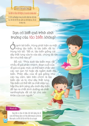 hỏi gì cũng biết - bí mật về thực vật - Ảnh 4
