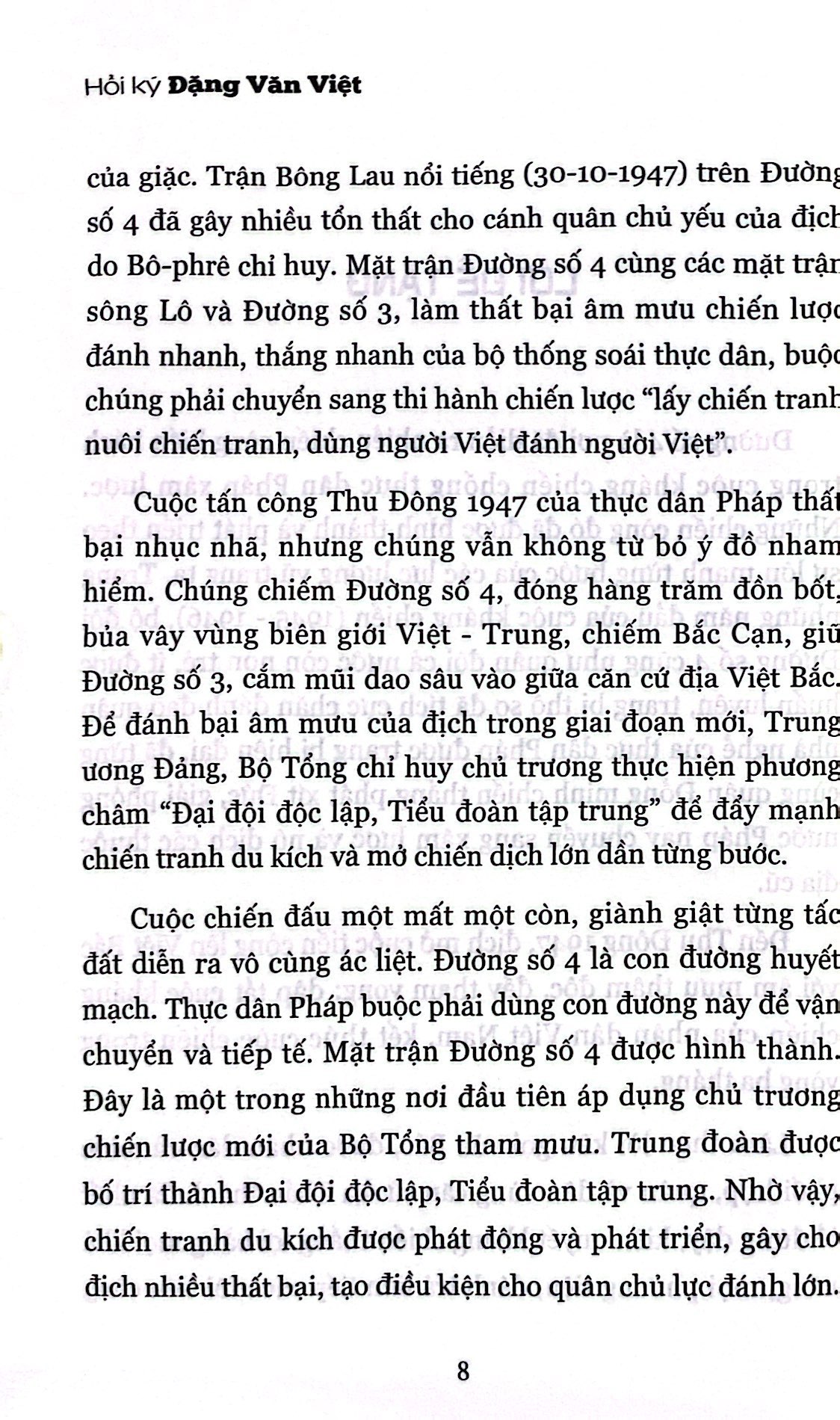 hồi ký đặng văn việt - hùm xám đường số 4 - Ảnh 4